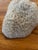 Large Coral Piece For Sale In Los Angeles - Image 6 of 7
