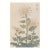 Spider Chrysanthemum Trio by Hasegawa, Vintage Japanese Botanical Art Print, 12" X 18" For Sale