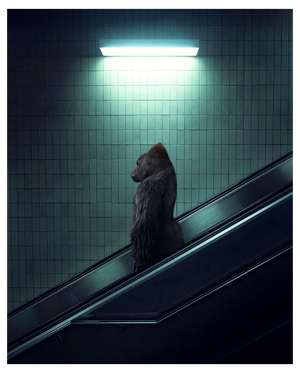 Mr strange, 2022, The Escalator, Giclée print on Hanhemühle paper
