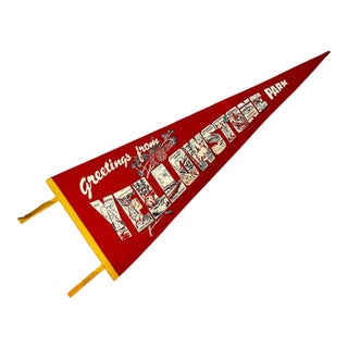 1950s Vintage Americana Boho Chic Rustic Yellowstone Felt Pennant. For Sale