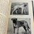 1957 The Bull Mastiff Handbook Dog Book For Sale In New York - Image 6 of 9