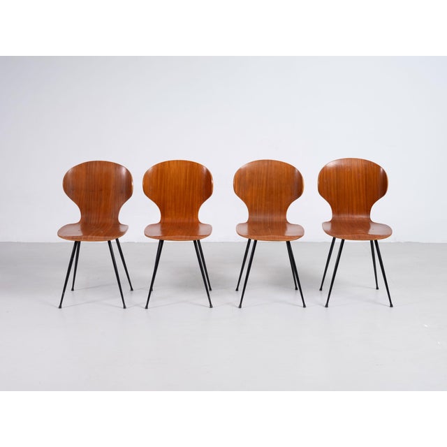 Brown Dining Chairs by Carlo Ratti for Industria Legni Curvati, 1950s, Set of 4 For Sale - Image 8 of 8