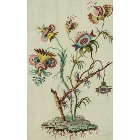 Fabulous 18thC chinoiserie fantaisie 'Fleurs Des Indes' 'Dessinee par Jacques Charton' in a bamboo frame! Image Sz: 13...