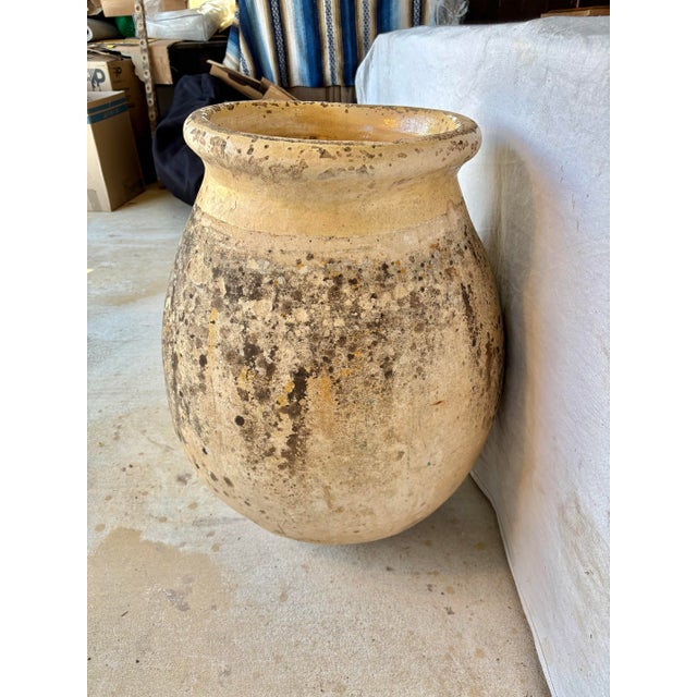 19th Century French Biot Pot Olive Jar For Sale - Image 12 of 12