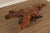 Mid Century Modern Live Edge Driftwood Coffee Table For Sale - Image 10 of 12