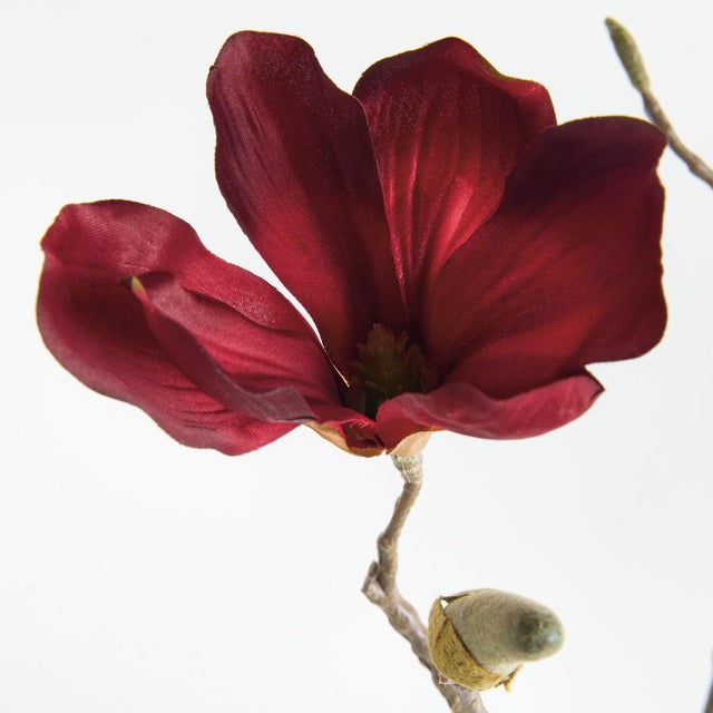 Contemporary Magnolia Stems 27" St/4 For Sale - Image 3 of 4
