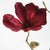 Contemporary Magnolia Stems 27" St/4 For Sale - Image 3 of 4