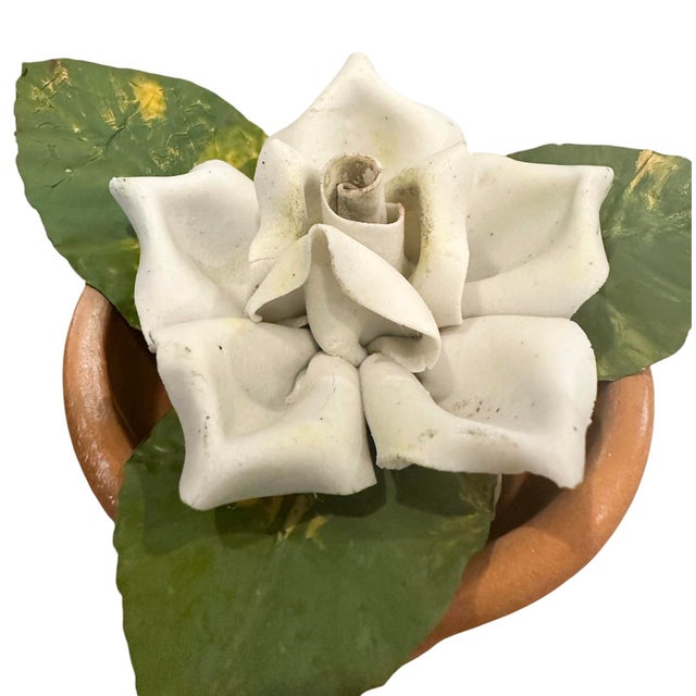 Vintage Petite Potted French Porcelain Bisque & Tole White Rose Flower / Floral Arrangement in Terracotta Pot For Sale In Dallas - Image 6 of 7