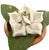 Vintage Petite Potted French Porcelain Bisque & Tole White Rose Flower / Floral Arrangement in Terracotta Pot For Sale In Dallas - Image 6 of 7