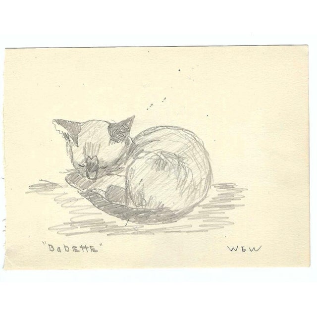 1943 Babette the cat drawing on paper by Devon, UK artist William E. Wood. Signed lower right. Portrait studies are on the...