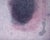Lavender Nebula - Transfer Monotype in Oil on Paper by Heather Speck For Sale In Monterey, CA - Image 6 of 7
