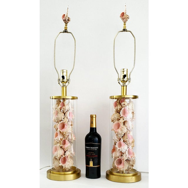 Offering a unique rare pair of Ralph Lauren glass table lamps filled with pink murex seashells, circa Late 20th Century....