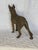 Brown 1930s Cast Iron German Shepherd For Sale - Image 8 of 12