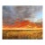 Country Views - Original Contemporary Landscape Acrylic and Graphite Painting on Canvas by Jodi Miller For Sale