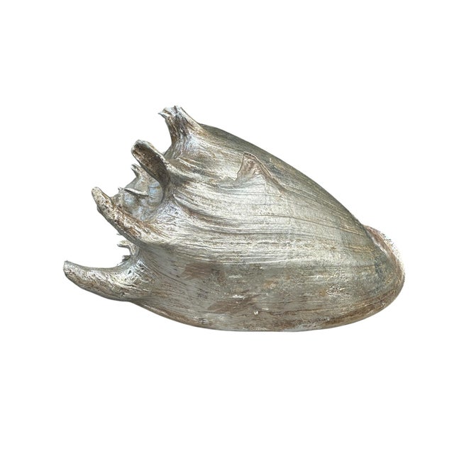 Vintage Silver Seashell Conch Shell Table Decor Beach House Summer Decor For Sale - Image 4 of 8