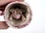 Victorian Antique 19th Century English Staffordshire Pink Luster Satyr Head Mug With Frog Inside For Sale - Image 3 of 12