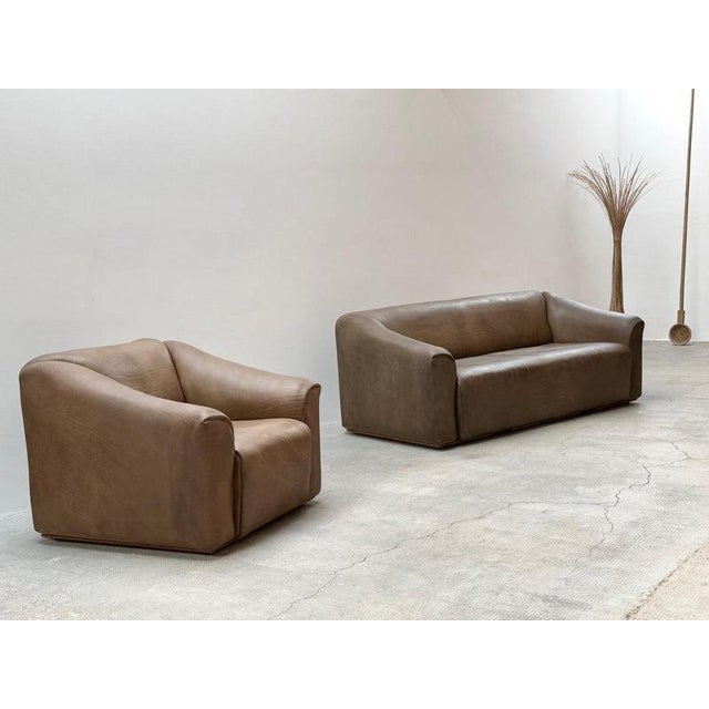 DS-47 Chair in Buffalo Leather from De Sede, Switzerland, 1970s For Sale - Image 12 of 14