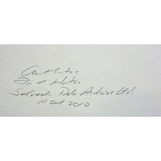 1970s Dali Hommage a Albrecht Durer Renaissance H/S # Dali Archives Coa Surrealism Art For Sale - Image 4 of 4