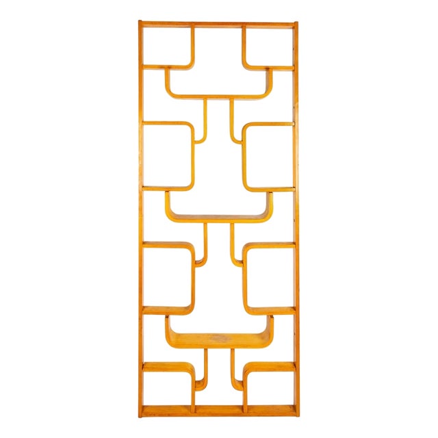 Flower Wall Unit or Room Divider attributed to Ludvik Volak, 1960s For Sale