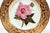 Antique Derby Porcelain Botanical Plate, Marsh Hibiscus, Salmon Ground With Gilt Swans, John Brewer, Circa 1815 For Sale - Image 10 of 12