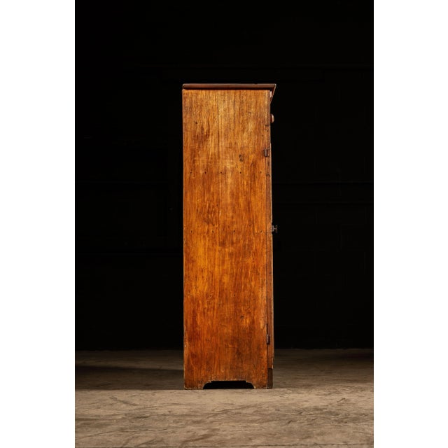 Early 20th Century Early 20th Century Jelly Cabinet For Sale - Image 5 of 12