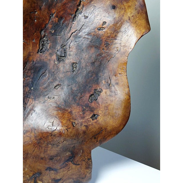 Large Bowl in Dark Raw Wood, 1950s For Sale - Image 14 of 17