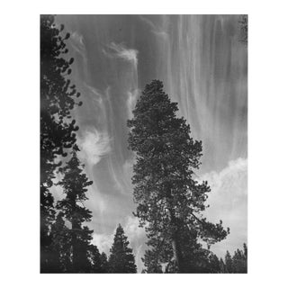 1975 Yellowstone Landscape Photograph For Sale