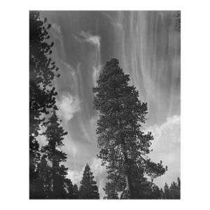 1975 Yellowstone Landscape Photograph