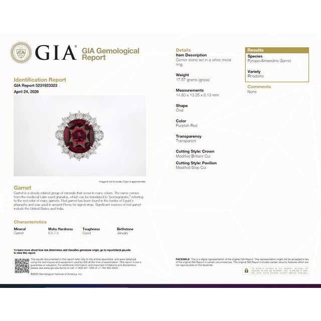 Gia Certified Solid Platinum 900 Natural Diamond and Natural Garnet Ring, Size 6.25 For Sale - Image 13 of 13
