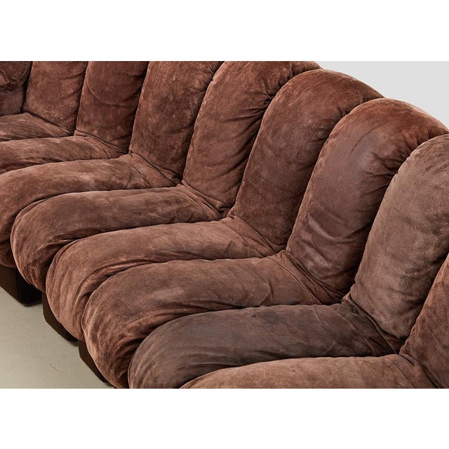 DS-600 Snake Sofa by Ueli Berger for de Sede, Switzerland, 1970s, Set of 22 For Sale - Image 6 of 15