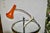 1970s Hada Desk Lamp by Carmen Ramos Flores for Phase, 1971 For Sale - Image 5 of 9