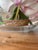 Plastic Emilio Robba White & Pink Phalaenopsis Orchid Centerpiece Resin Bowl For Sale - Image 7 of 9
