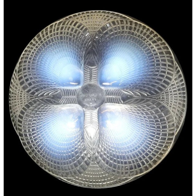 1920s Rene Lalique (France) - 'Coquilles' Shell Opalescent Art Glass Bowl, C. 1924 For Sale - Image 5 of 5