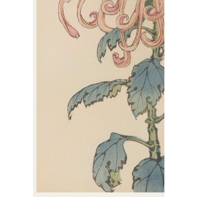 Pink Floral Giclee, Vintage Japanese Botanical Art Print, 8" X 12" For Sale - Image 4 of 8