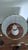 William Morris Vintage William Morris Pimpernel Shade With Lamp For Sale - Image 4 of 9