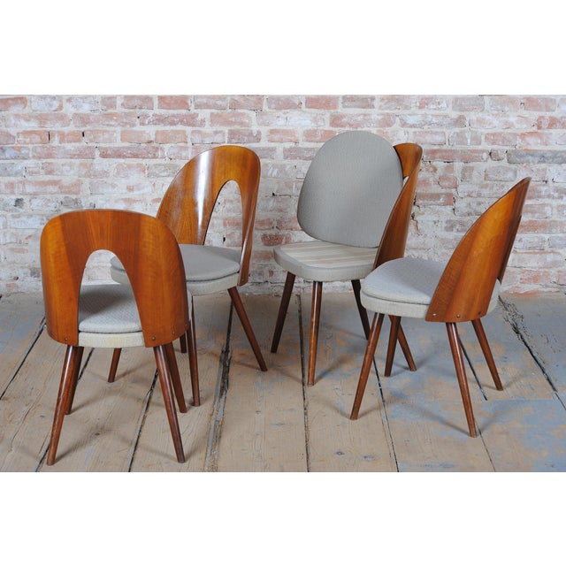 Mid-Century Chairs in Walnut attributed to Antonín Šuman, Czech, 1950s, Set of 4 For Sale - Image 17 of 18