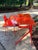 Blu Dot Modern Red Lacquered Desk and Chair For Sale - Image 4 of 14