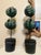 Italian Vintage Tole Topiaries, a Pair For Sale - Image 3 of 8