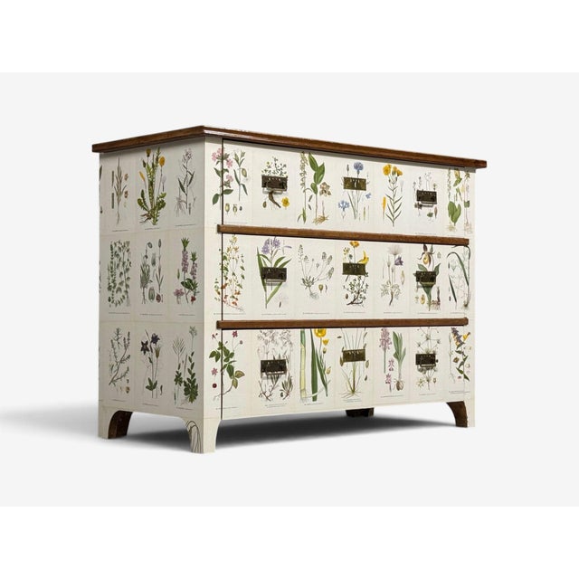 Swedish Modern, Nordens Flora Dresser, Brass, Floral Lithographs, Sweden, 1930s For Sale - Image 4 of 14