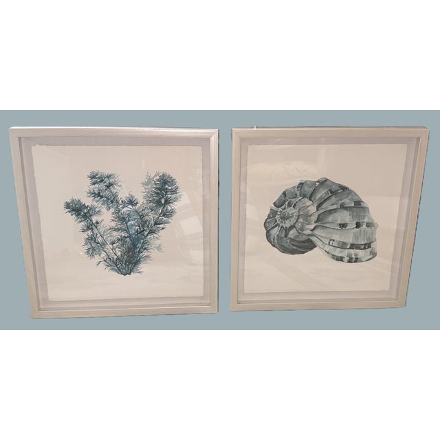 Vintage Coastal Art Prints - Set of 2 Sea Coral and Sea Shell, each matted and framed in white wooden shadow box like...