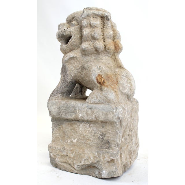 Foo Dog Statue For Sale - Image 10 of 13