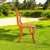 Farmhouse Late 19th Century Antique Bird's Eye & Tiger Maple Chair W Cane Seat-Federal Style-Curly-Farmhouse For Sale - Image 3 of 11