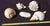 Collection of Large Conch Shells For Sale - Image 4 of 4