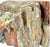 Natural Petrified Wood Specimen. #1 For Sale - Image 11 of 11