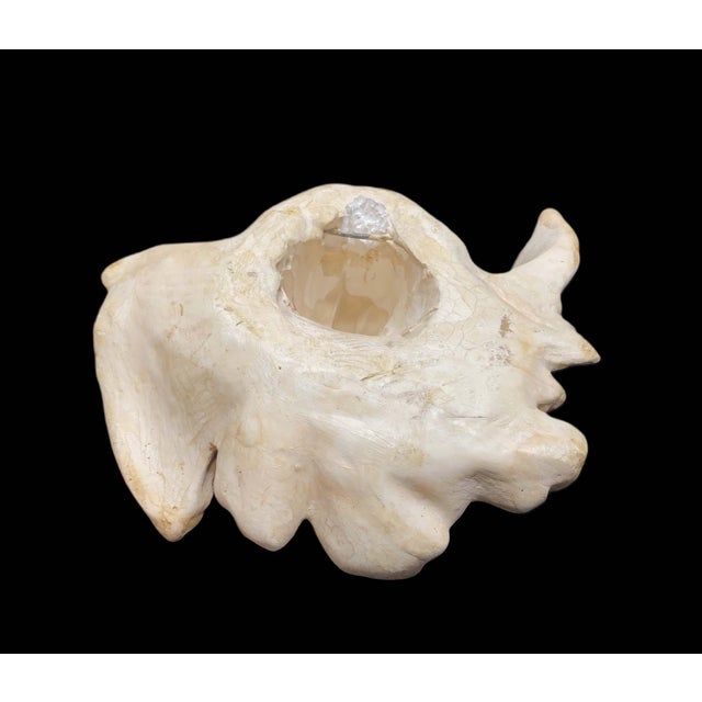 1960's Unbranded Wall Mount Sculpture, Angel Figure, Classical Cherub, Putto, Left Facing, Heavyweight For Sale - Image 9 of 14