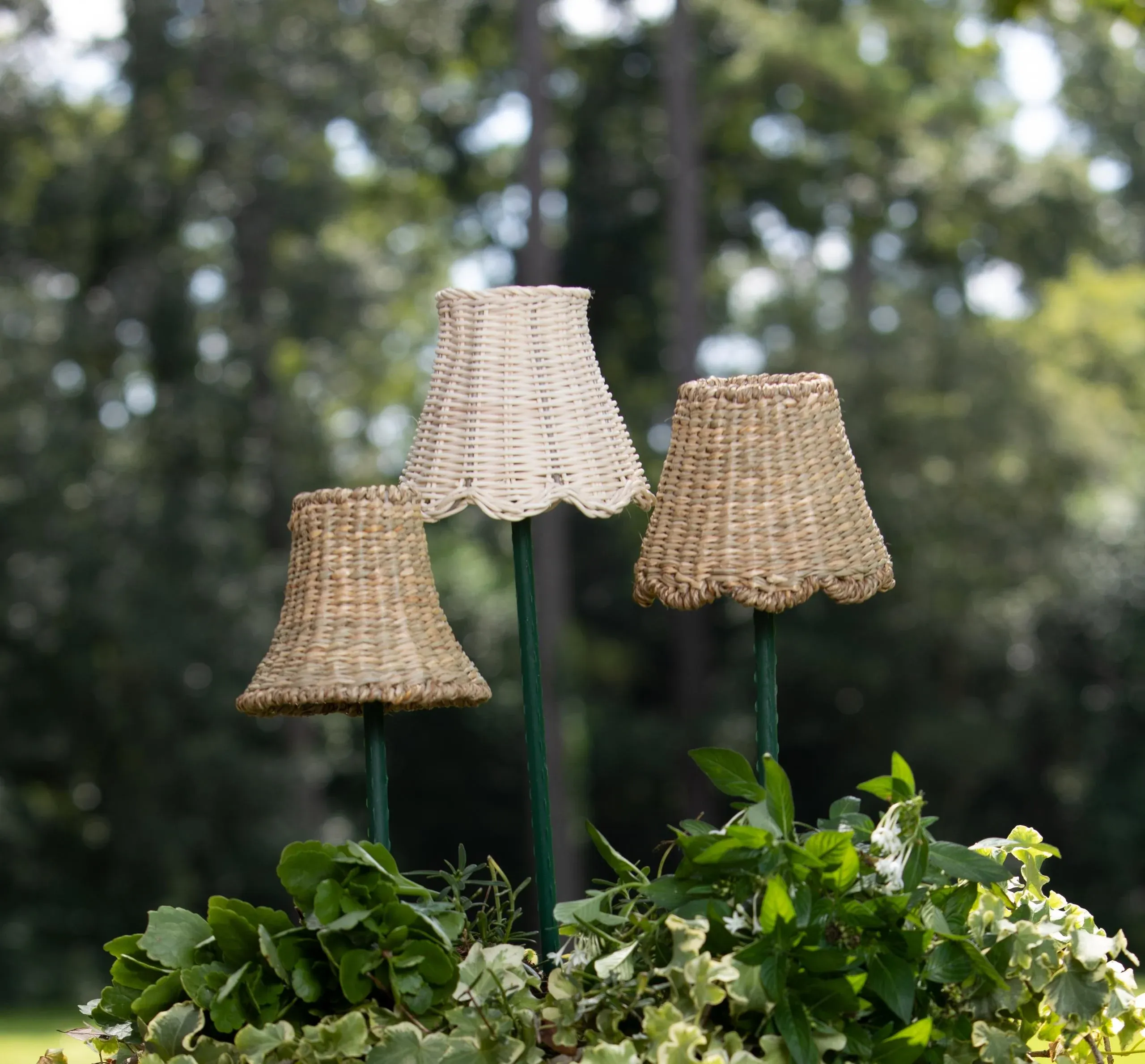 Maison Maison Design Scalloped Lamp Shade - Thumbnail 2