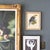 Ornithological Bird Print Bluebellied Roller by Johannes Gerardus Keulemans For Sale - Image 4 of 9