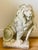 Antique concrete lion sculpture Garden decor.