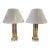 Mid Century Modern Lucite and Brass Lamps For Sale