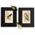 1896 Matted Antique Bird Prints Pair — Chimney Swallow & Green Woodpecker For Sale In Columbus - Image 6 of 8